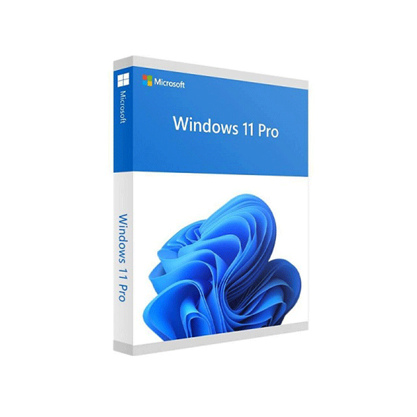 PM Microsoft Win Pro 11 