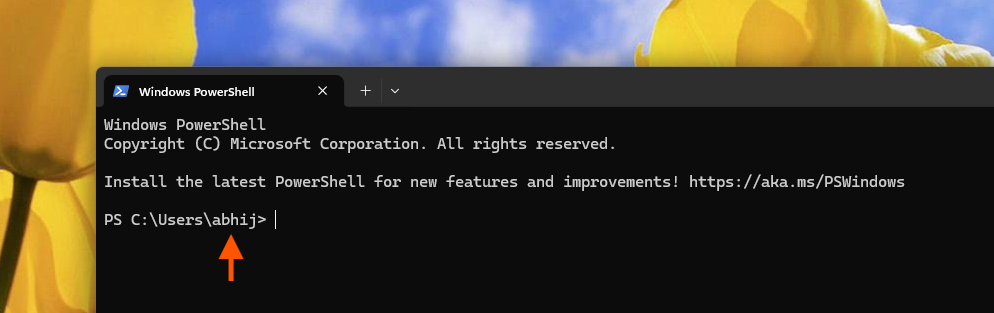 Windows Terminal với tên hồ sơ người dùng mặc định của tôi