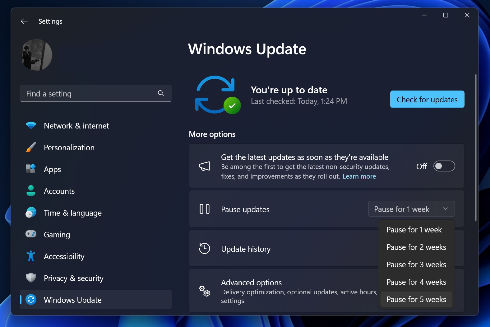Windows 11 24H2 tạm dừng cập nhật