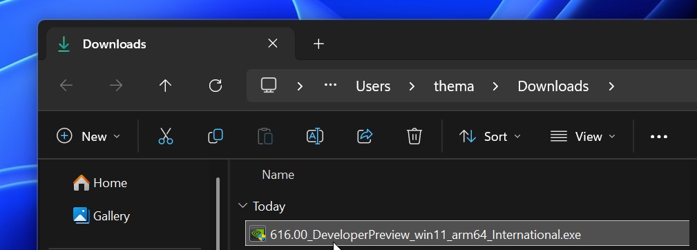 Trình điều khiển Windows 11 RTX N1X Spark